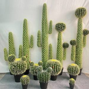 Plante artificielle en plastique réaliste, cactus artificiel sans entretien pour la décoration intérieure et extérieure, maison, bureau - Product Image 1
