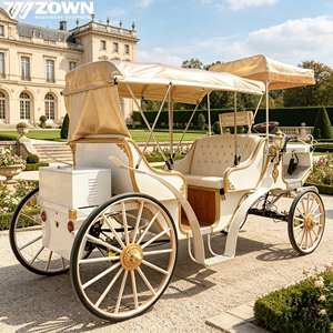 Charrette Équestre Électrique ZOWN à 4 Roues, Style Royal Luxueux et Tendance, pour Mariages et Parcs d'Attractions, Certifiée CE, 4-6 Personnes - Product Image 1