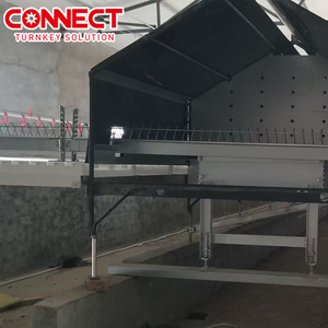 Automatic <strong>Poultry</strong> Broiler Breeding Equipment Chicken Farm Breeding Machine Floor Raising System with Feeder Pan Conveyor Line - Product Image 4