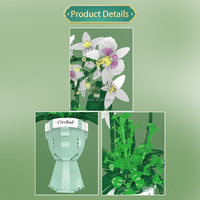 Kits de construction MOULD KING 24123 Phalaenopsis Orchid, fleurs en briques MOC, décoration intérieure, modèle de plante, jouet créatif