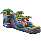Combo de châteaux sautants de toboggan gonflable de maison de rebond de Tiki de qualité commerciale pour des enfants et des adultes