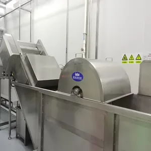 Industriale di frutta e verdura più pulito rondella bolla di lavaggio macchina