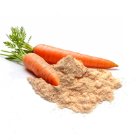 Poudre de jus de carotte 100% naturelle pure, supplément alimentaire en vitamine C, extrait de fruit, emballage en fût