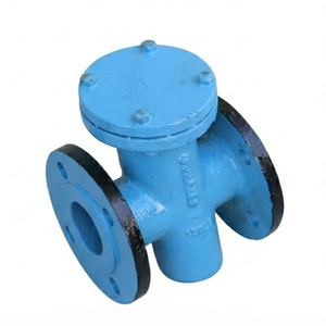 Válvula de Filtración de Agua Industrial con Brida Tipo T de Hierro Fundido Clase 150 con Malla de Acero Inoxidable - Product Image 2