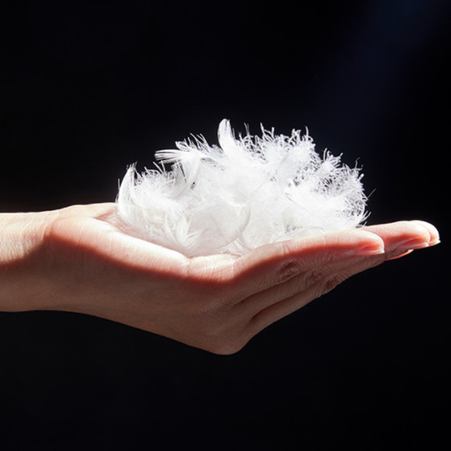 Factory Price 2-4cm Washed Duck Feather for Sale