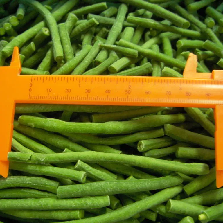 Frozen long Cut Green Asparagus Beans