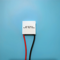 Module Peltier thermoélectrique 23x23mm pour téléphone portable, dissipateur thermique semi-conducteur TES107102 TES107103 TES107104
