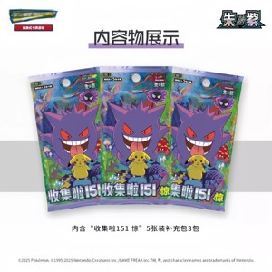 Nouvelle Collection 2025 : Pack Complémentaire de 151 Pièces de Monnaie Surprises en Chinois Simplifié – Coffret de Cartes PTCG pour Noël - Product Image 4