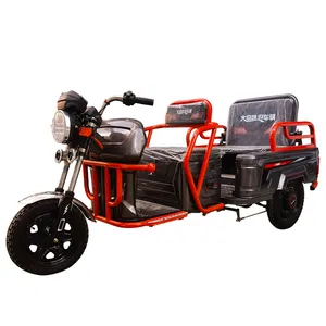 Europe Electric Passenger Cargo Tricycles 3 Wheel Scooter For Adult Minitype For Cargo Solar