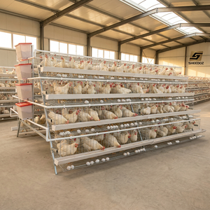 Jaulas de <span class=keywords><strong>gallinas</strong></span> ponedoras tipo A para avicultura, equipos de alimentación y cría de <span class=keywords><strong>gallinas</strong></span> ponedoras en granjas avícolas, jaulas escalonadas para aves de corral. - Product Image 1