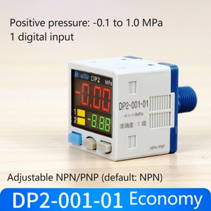 DP2-001-01 ตัวแปลงสัญญาณแรงดันดิจิตอลและเกจวัดสุญญากาศ: อุปกรณ์เสริมสำหรับระบบลมอัดอุตสาหกรรม - Product Image 5