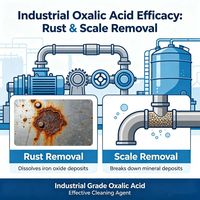 Acide oxalique en poudre de qualité industrielle, pureté élevée 99,6 % min, dihydraté, pour le décapage de la rouille des métaux, le nettoyage, l'impression et la teinture textile