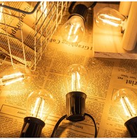 Ampoule LED S14 PC à filament Edison 2700K Lumière Chaude Culot E27 Étanche Économe en Énergie pour Décoration de Lieux et Festivals Noël
