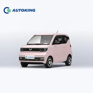 Wuling Hongguang Nano Mini Ev Hong Guang Miniev 2022 300Km Hoge Snelheid Elektrische Voertuigen Nieuws Auto Elektrische Prijs Filipijnen