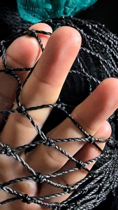 Filet PE Longxing, filet d'ombrage, filet agricole blanc, filet de capture pour oiseaux et chauves-<span class=keywords><strong>souris</strong></span> - Product Image 5