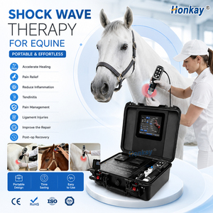 Équipement de thérapie par ondes de choc de haute qualité pour chevaux, appareil de massage par ondes de choc pour animaux, réduction de la douleur sportive, pour usage équin - Product Image 1
