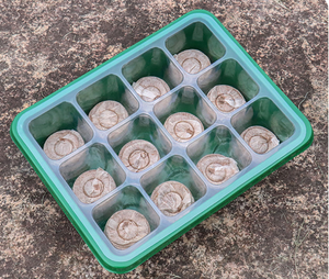 Kit de Bandeja de Germinación con Cúpula de Humedad y Base Reutilizable, Mini Invernadero para Germinación de Semillas y Cultivo de Plantas - Product Image 2