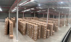 Giấy Tráng PE Cấp Thực Phẩm Cuộn Jumbo Giấy Bột Gỗ Nguyên Liệu Thô Giấy Cốc - Product Image 5