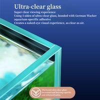 Aquarium de bureau avec filtre arrière intégré, nano-aquarium en verre pour chambre à coucher, salon, poissons-clown, eau salée
