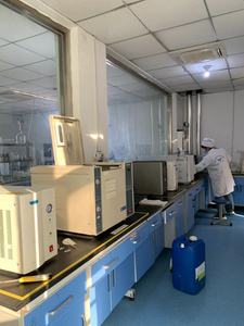 Manufacturer Supply Vital Wheat <strong>Gluten</strong> Flour 82% - Product Image 3