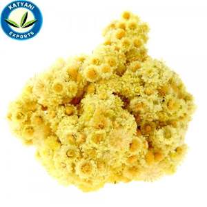 Aceite esencial de Helichrysum Italicum de alta calidad 100% puro orgánico Natural Etiqueta Privada proveedor exportación a granel precio al por mayor - Product Image 1