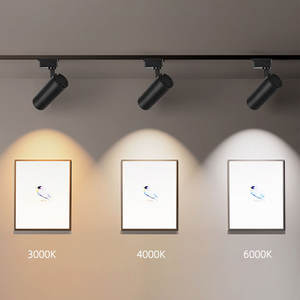 Ray Spot Işığı 2 Telli 3 Telli 4 Telli Mağaza Lambası 20w 30w 40w Galeri Led Ray Aydınlatma Spotu - Product Image 3