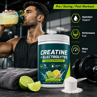 Greenpie OEM Private Label Créatine Monohydrate Poudre d'Électrolytes Nutrition Sportive Mélange de Boisson Hydratante Complément Alimentaire