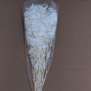 <span class=keywords><strong>Ramo</strong></span> de Flores Secas de Gypsophila Blanca, Planta Natural Preservada para Decoración de Bodas, Fiestas, Manualidades, Estilo Boho, Decoración del Hogar - Product Image 4