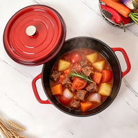 Cocotte en fonte émaillée de qualité supérieure, écologique, avec couvercle, pour cuisines de haute qualité
