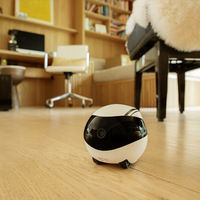 Enabot Ebo SE Edición Estándar, Robot Interactivo para Mascotas con Control Remoto Inalámbrico a través de Aplicación Móvil, Material Plástico Resistente