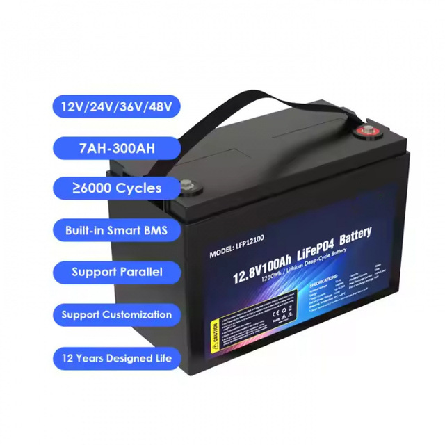 12V 24V 36V 48V 60V 72V 50-600Ah LiFePO4 Battery IP54 5 Year Warranty Electric Bicycles/Scooters 6000 Cycles Customized