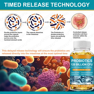 Probiotiques à haute absorption 120 milliards d'UFC 60 capsules molles Supplément pour adultes 36 souches Prébiotiques <span class=keywords><strong>Enzymes</strong></span> <span class=keywords><strong>digestives</strong></span> - Product Image 4