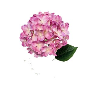 Grande fleur d'hortensia artificielle imprimée en 3D, 72 pièces, en plastique et tissu, pour décoration de mariage, maison et extérieur - Product Image 5