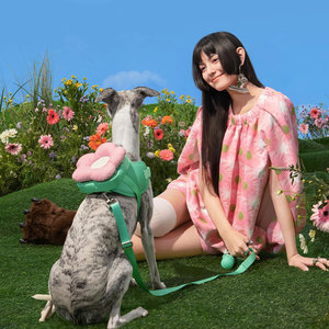 Custom Flora Dog Harness Set Adjustable No Pull Dog Harness and Leash Set Dog Harness Vest Soft Padded OEM Dog Harness Set - Product Image 2