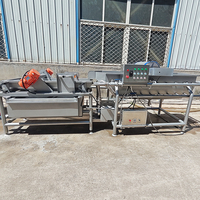YOUBAN Automatische Vortex Wasmachine Commerciële Groente Fruit Zeevruchtenwasser voor Voedingsmiddelenfabriek Kantine Verwerkingslijn