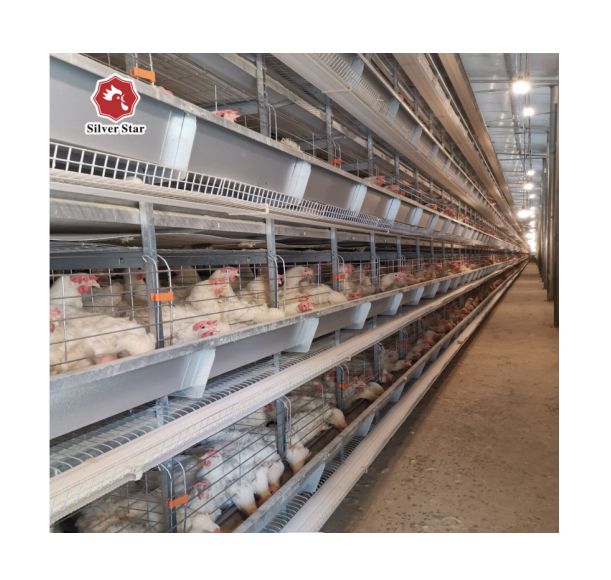Оптовая продажа клетки для разведения кур слой клетка для фермы