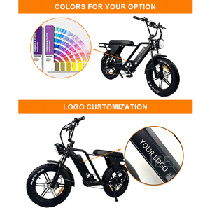 QUEENE/1000w Vélo électrique à gros pneus/Vélo électrique pour la neige/Super vélo électrique de plage - Product Image 6