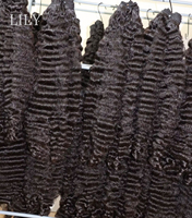 Extensions de cheveux humains vierges vietnamiens de qualité supérieure, bouclés style Pixie, avec pointes pleines, type Burmese Curl
