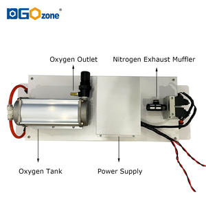 Máy tạo oxy tích hợp hai tháp 10 lít, máy lọc oxy <span class=keywords><strong>PSA</strong></span> 10L/phút - Product Image 2