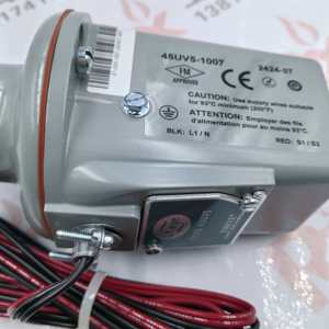 Interrupteur de sécurité industriel Fireye IP65 20A 110V, modèles intelligents en métal et plastique 45UV5-1009 55UV5-1009, neuf et original - Product Image 6