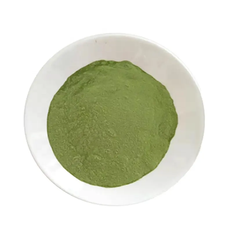 Moringa Oleifera Blatt pulver TLC Lebensmittel qualität Roh pulver Kräuter extrakt Grünes Pulver Roher Hanf Hochwertiges natürliches Blumen blatt HKY