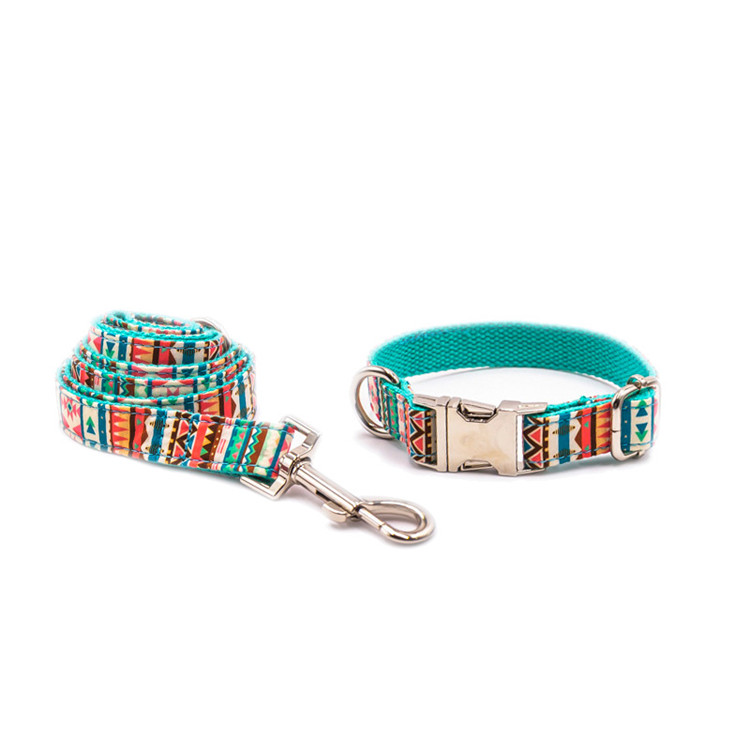collar with leash 1