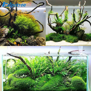 Fabriek Direct Groothandel Aquarium Tropisch Hout Accent Vis Tank Drijfhout Ambachten Drijfhout - Product Image 5