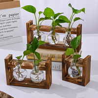 Grand Conteneur Hydroponique Numérique Créatif, Mini Cadre en Bois, Vase Bouteille en Verre, Plante de Radis Vert, Mignonne Fleur de Jardinage d'Intérieur