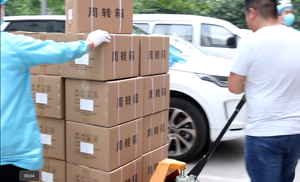 Meistverkaufte QiaoFuSheng Muskel- und Gelenkschmerzen Schwellungscreme & Massagecreme mit anderen Kräutern 30g für Ganzkörperpflege - Product Image 6