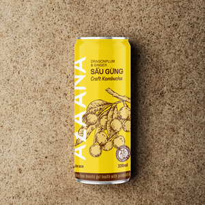 Le concentré de fruits vietnamiens au gingembre et au kombucha séché offre une boisson délicieusement acidulée parfaitement équilibrée dans une boîte à jus - Product Image 3