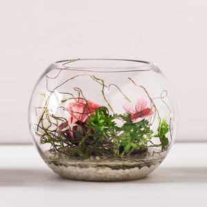 Stock d'usine 10cm de diamètre pas cher boule ronde bocal à poissons en verre transparent/aquarium/aquariums/ - Product Image 2