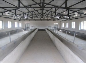 Nueva Nave Prefabricada de Alta Calidad para Ganado Lechero y Cría de Conejos, Estructura de Hormigón con Membrana de PVC, Personalizable y Multifuncional - Product Image 3