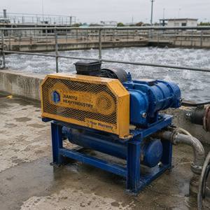 Souffleur à racines, utilisé pour l'oxygénation en aquaculture en étang et en pisciculture, série JYSR, 220V, 3kW, bon prix. - Product Image 3