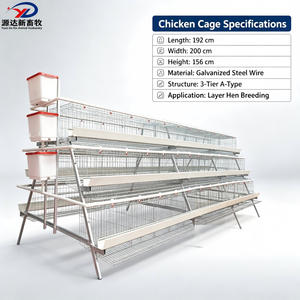 Système Automatique de Cages pour Poules Pondeuses, Cage Avicole Galvanisée pour l'Élevage Professionnel - Product Image 3